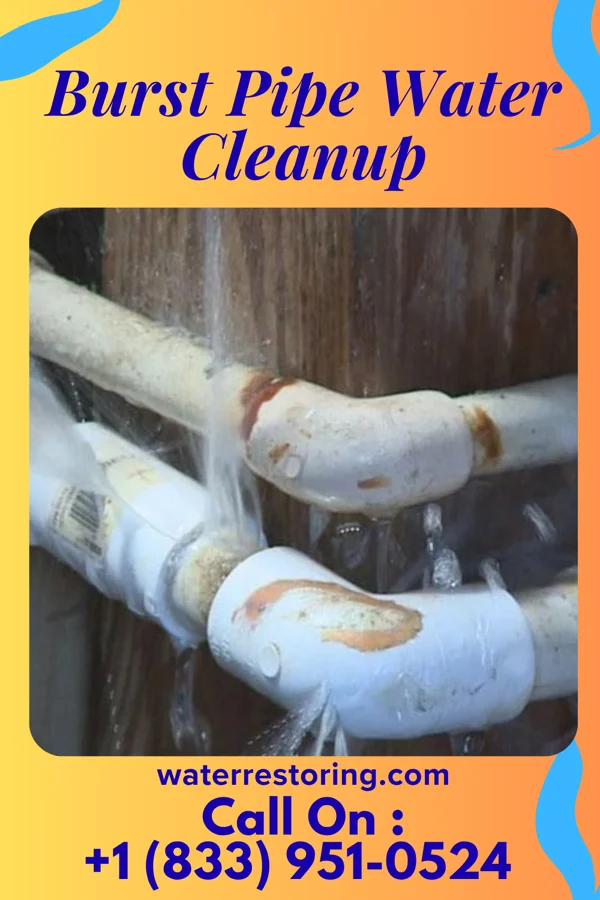 Burst Pipe Water Cleanup in White Pigeon, MI