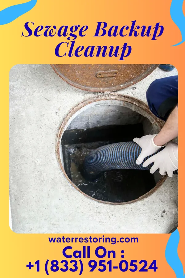 Sewage Backup Cleanup in White Pigeon, MI