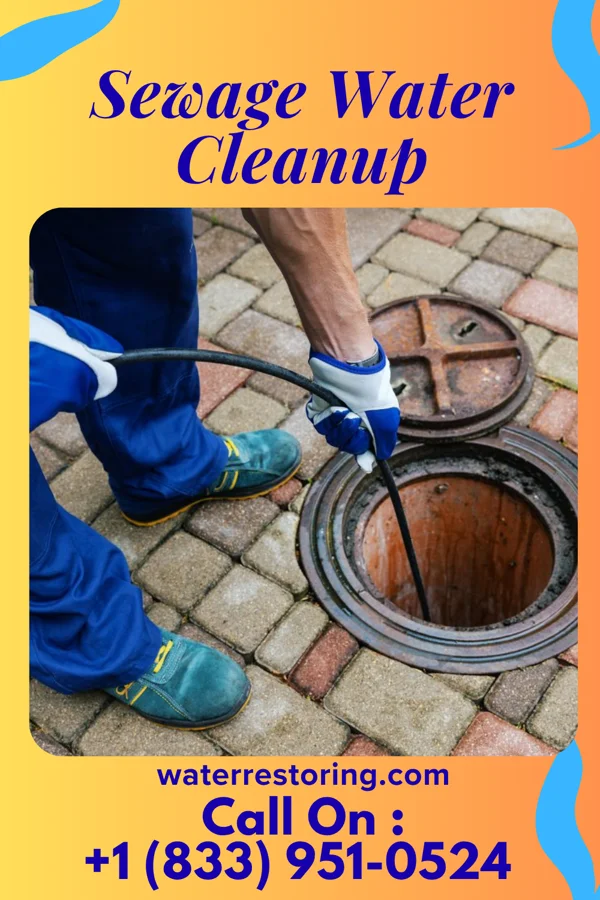 Sewage Water Cleanup in White Pigeon, MI
